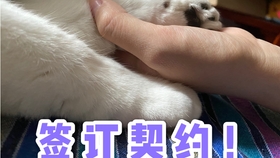 b636e6eec39e28cd16f650699b9f0a779fab9d40.jpg@280w_158h_1c_100q.jpg