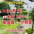 39万在大阪买一个250㎡有庭院的小别墅香不香？