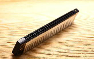 复音口琴，尧十三《北方的女王》视频在线观看_ 放肆吧