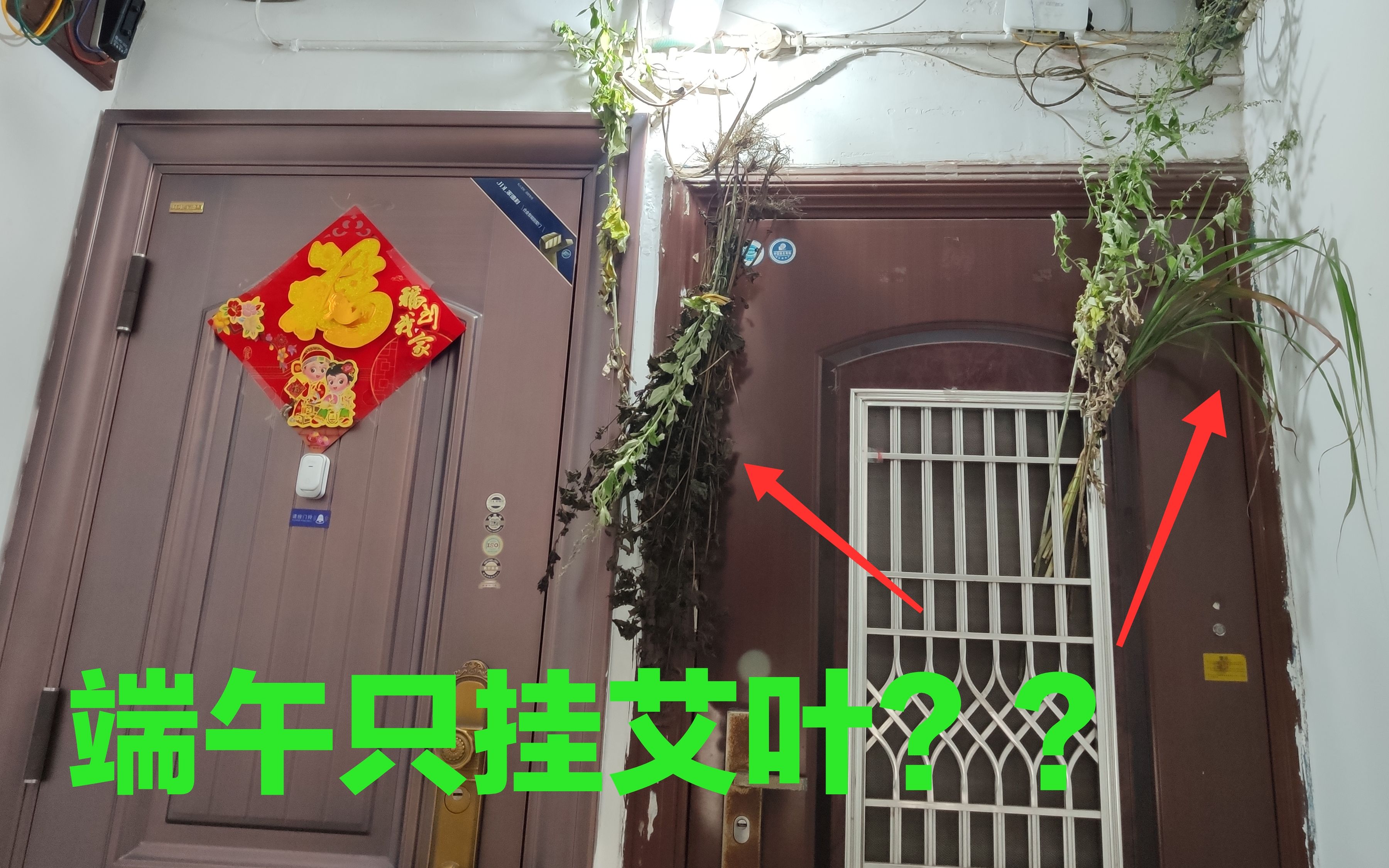 端午门前挂艾叶为啥还有挂其它植物的挂其它的都有啥寓意呢