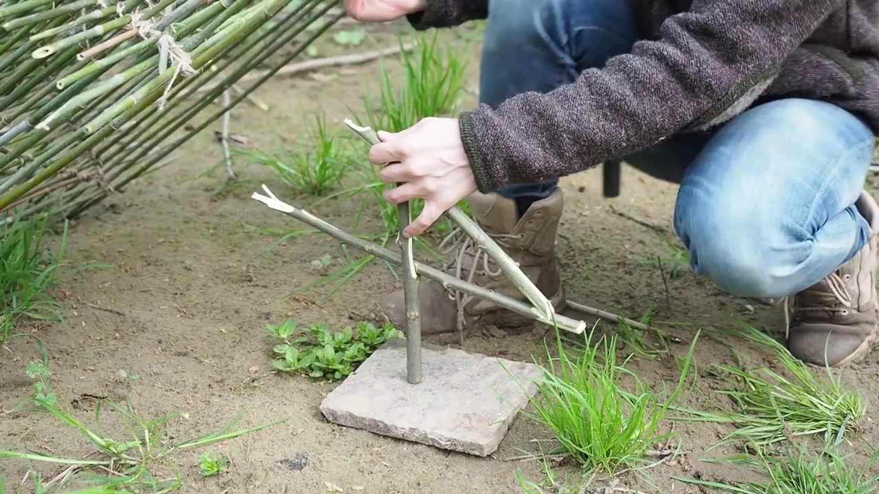 【野外生存】如何制造一个捕鸟器?