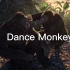 Dance Monkey，CG动画高燃版本，真正跳舞的猴子【中英文字幕】