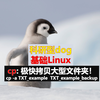 Linux系统基础系列 - cp - 极快拷贝大型文件夹！cp -a TXT_example  TXT_example_backup