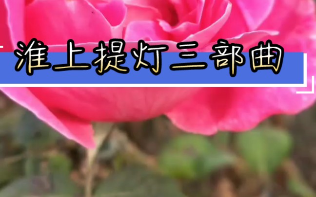 【纯爱文之书评系列】淮上提灯三部曲讨论