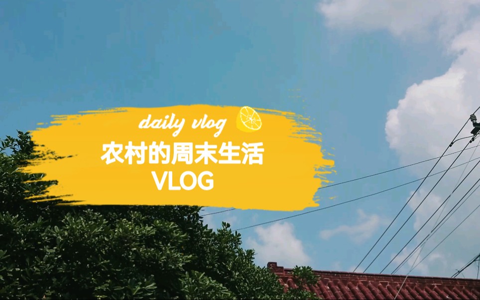 城市工作,农村生活,我的周末VLOG哔哩哔哩bilibili