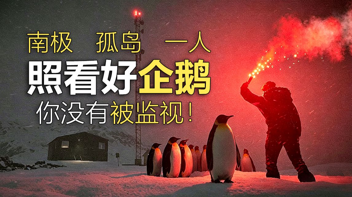 与山0v0