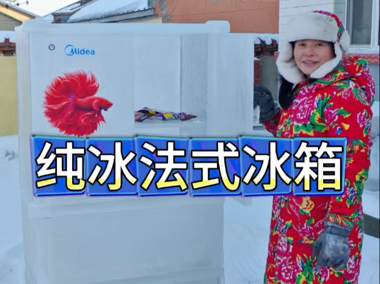 东北猫冬生活，手搓纯冰法式大冰箱，零耗能不费电