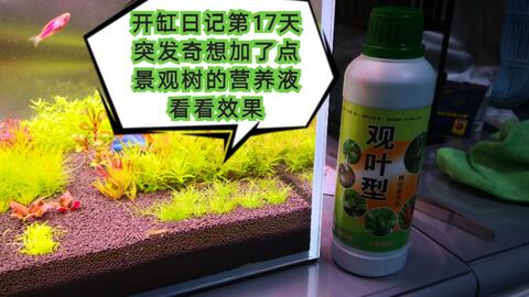 b6e1d1bb07dc32343a399485244a7165f549b035.jpg@480w_270h_1c