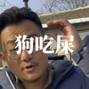 关于屎对狗的吸引力有多强