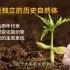 自然地理学 | 07-1 土壤组成及其特征【复旦赵斌教授公开课】