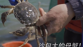 b72cdcaf4aef740d4b77d5cb66decac7cb1e7332.jpg@280w_158h_1c_100q.jpg