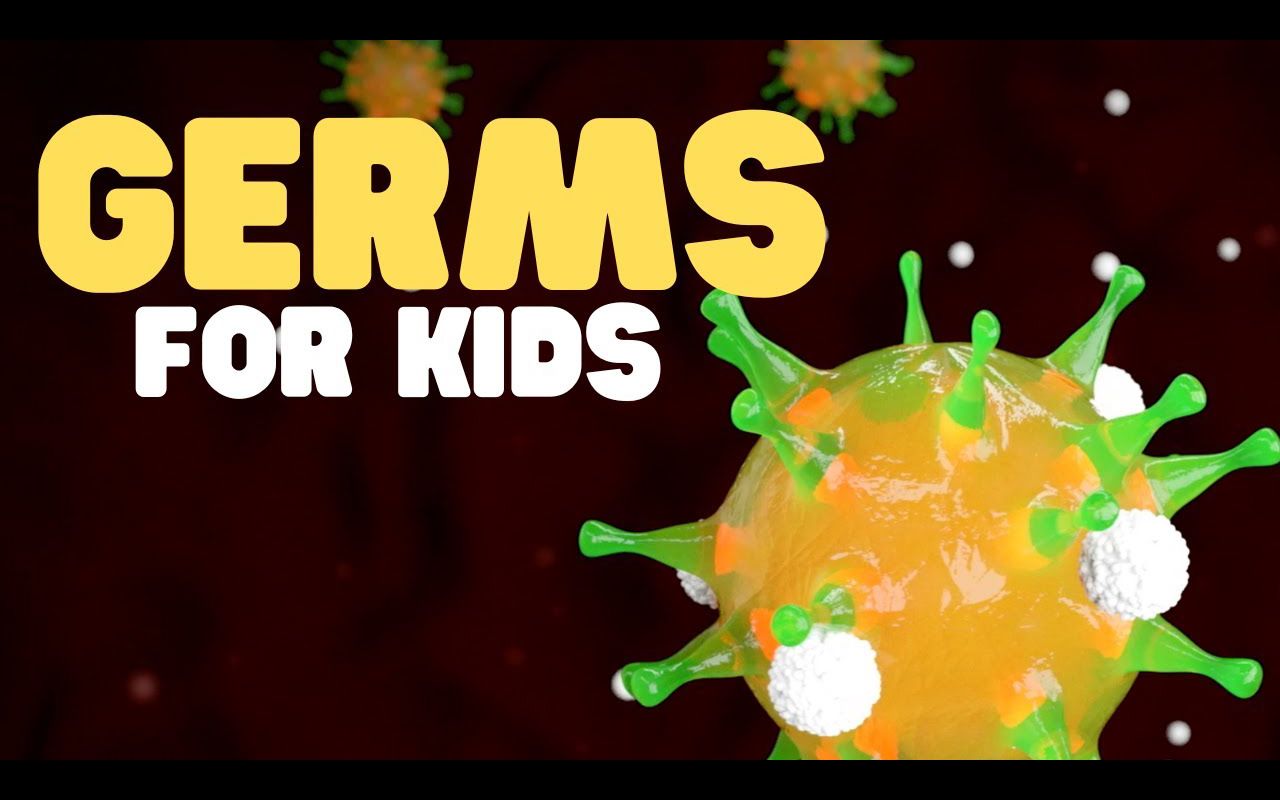 Germs for Kids | Learn all about bacteria, viruses, fungi, and protozoa哔哩哔哩bilibili