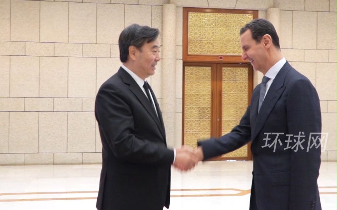 叙利亚总统会见中国特使：应放弃美元用人民币