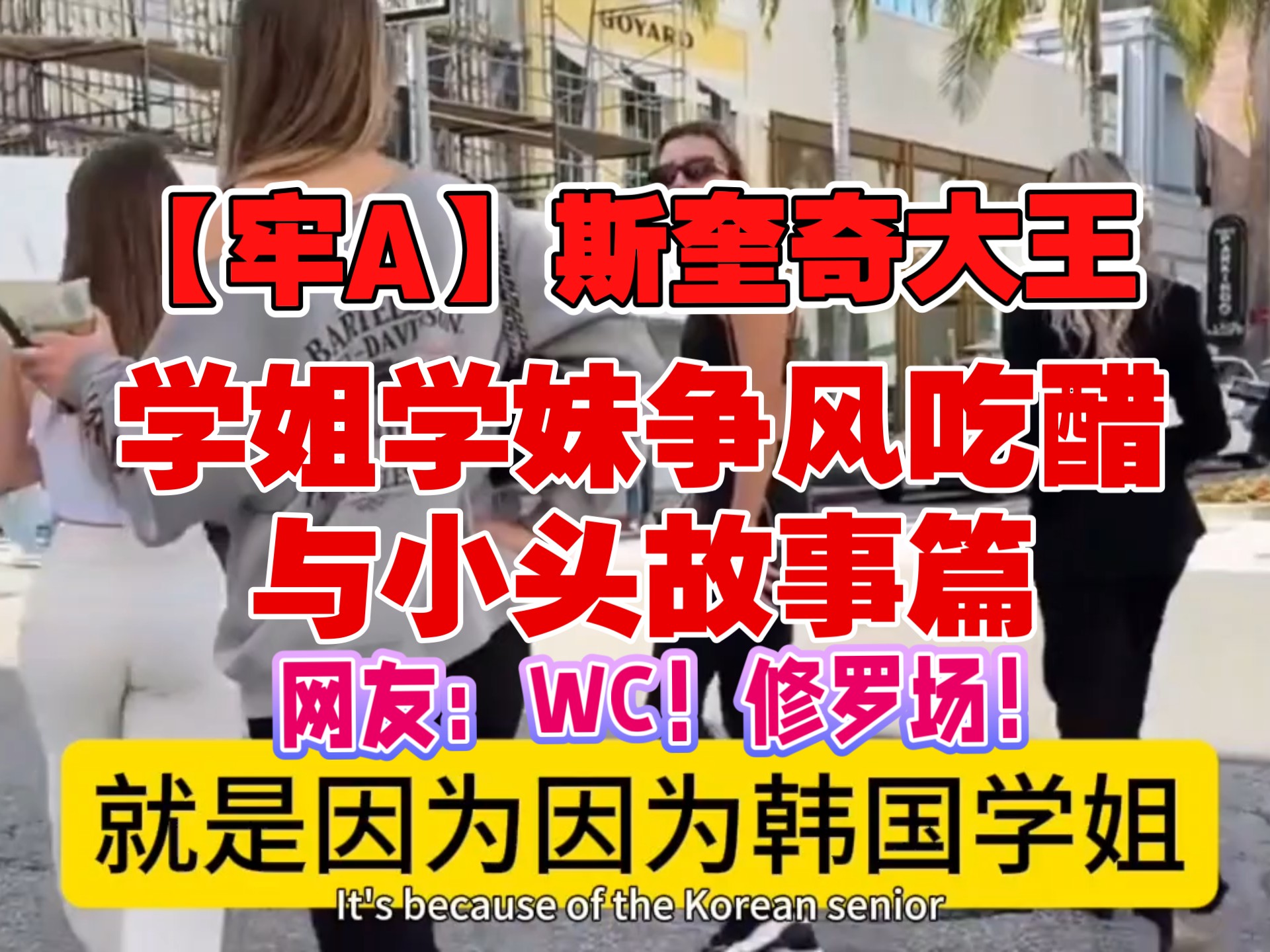 【牢A】斯奎奇大王⚠️学姐学妹争风吃醋与小头故事篇⚠️回san值⚠️修罗场