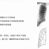 3.胸部X线影像基础-胸部影像诊断思维训练营系列2