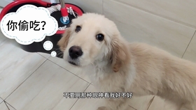 b7674524d871ccbd0bd4009d28708c3e307302d5.jpg@280w_158h_1c_100q.jpg