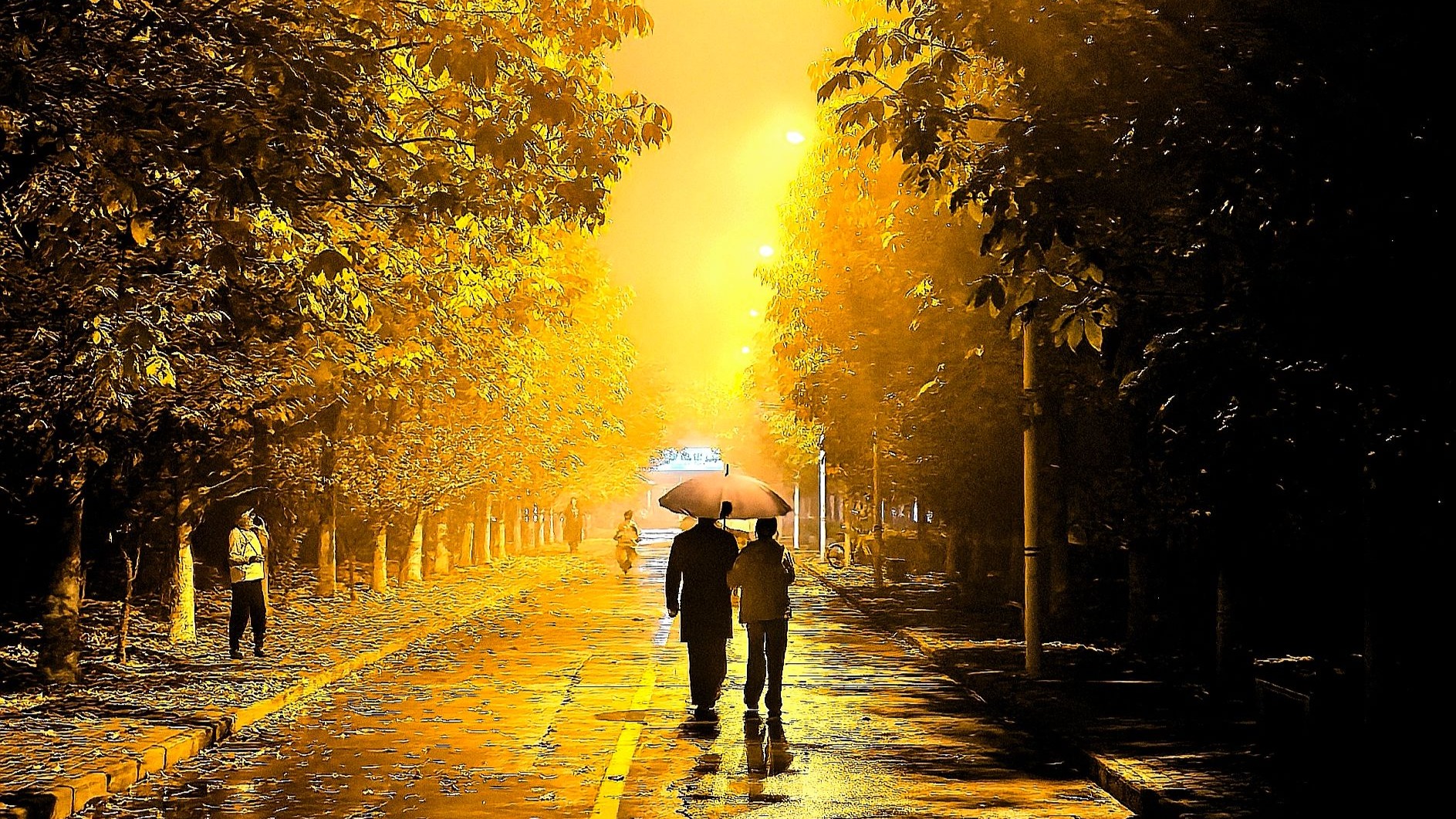 ENTP锐评中学情侣&大学情侣【社会观察】