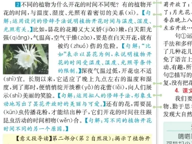花钟预习