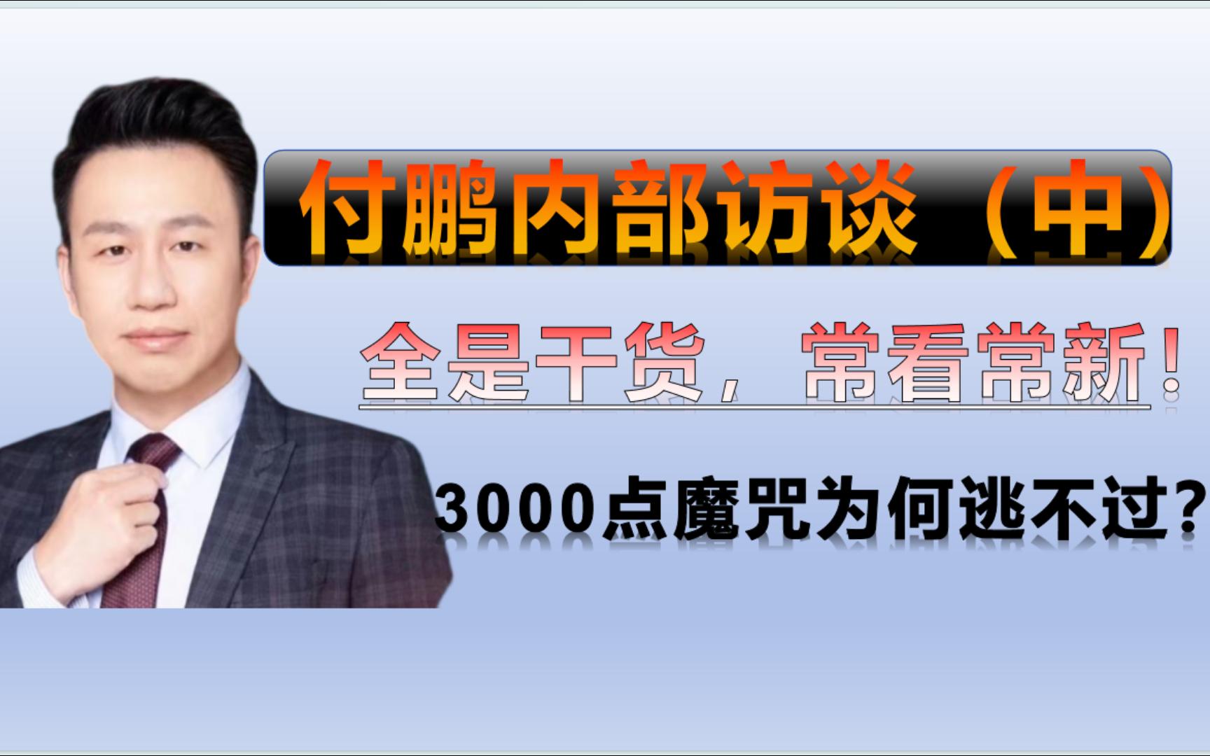 付鹏内部访谈:全是干货!为什么我们逃不过3000点魔咒?哔哩哔哩bilibili