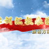 军训汇报表演之旗语方阵