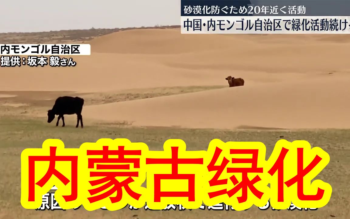 【中日双语】刷日本新闻刷到一个内蒙古治沙的短新闻，一看内容，咦？这个叫坂本毅的人有点眼熟啊？翻了翻之前翻的内蒙古抗击沙漠化的纪录片，果然是这个纪录片里的那个日本