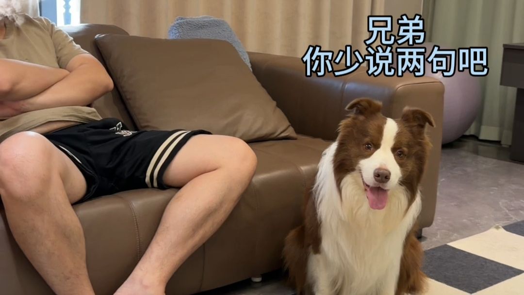 用骂小狗的方式骂爸爸