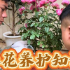 教你养花必知必会的养护知识，有多少花友不懂怎么用