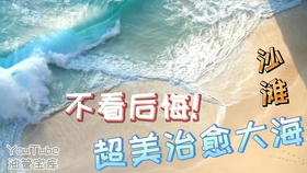 b8645f4e0918d98e9930c0218721c39d921bea17.jpg@280w_158h_1c_100q.jpg