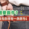想要养牛，首先你得有一条原牛