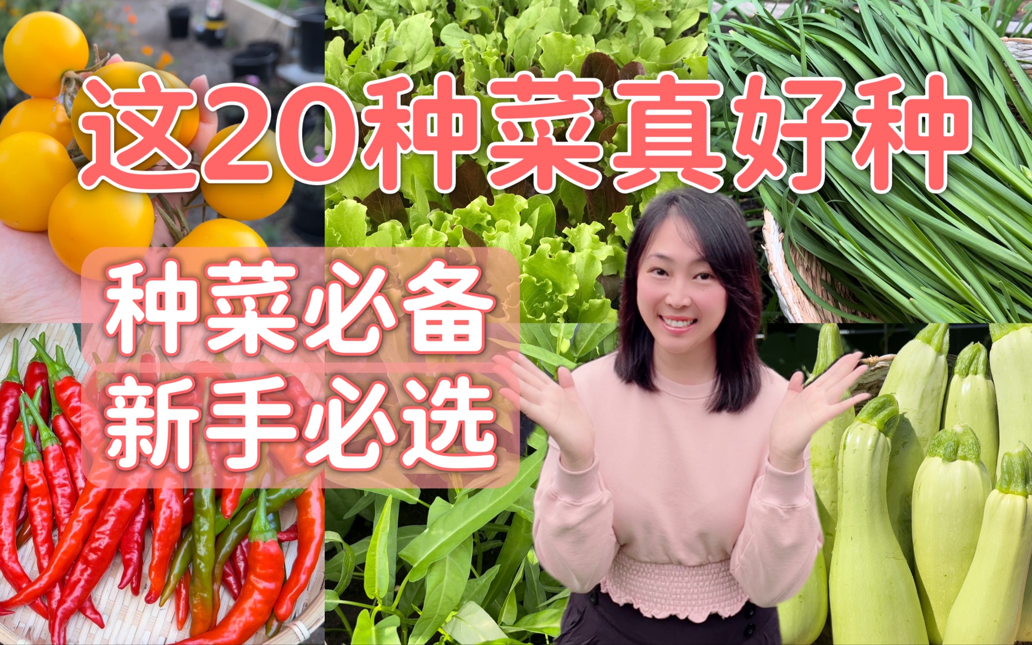 20种好种容易种的蔬菜 + 每种菜的种植诀窍，新手必看，干货分享