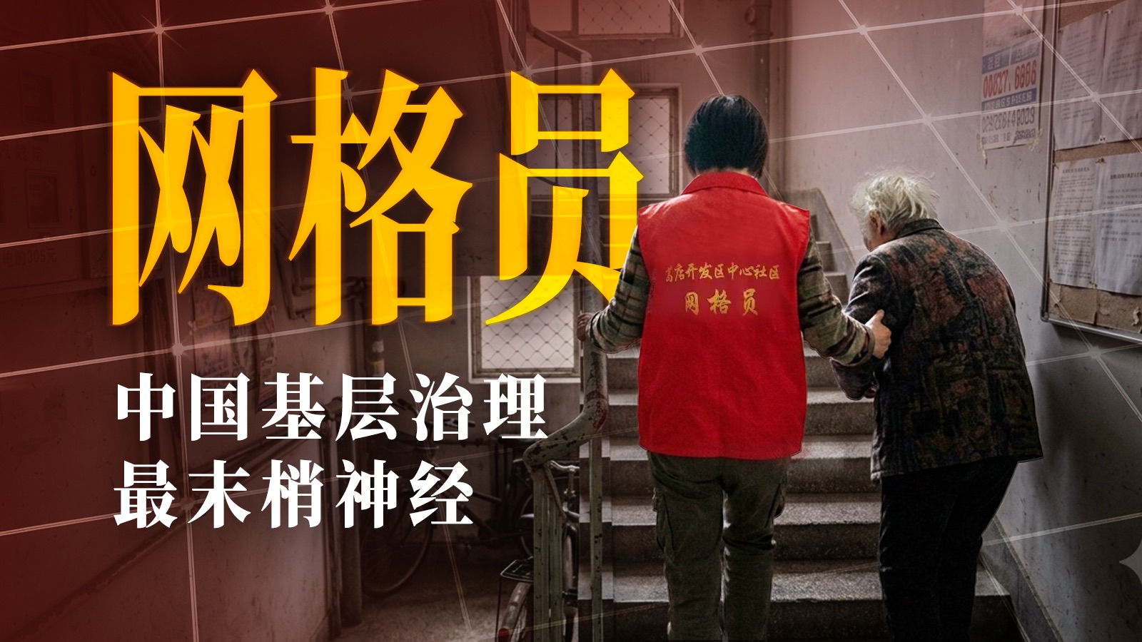 靠450万网格员，国家管到了每一栋楼【大国之治·网格员】