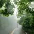 【4K】轻松雨中漫步-绿道_ 4K _ 60fps