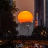 11小时等待纽约最美的日落 曼哈顿悬日 Manhattanhenge
