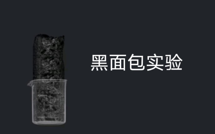 活动作品nb化学实验室有趣的黑面包实验