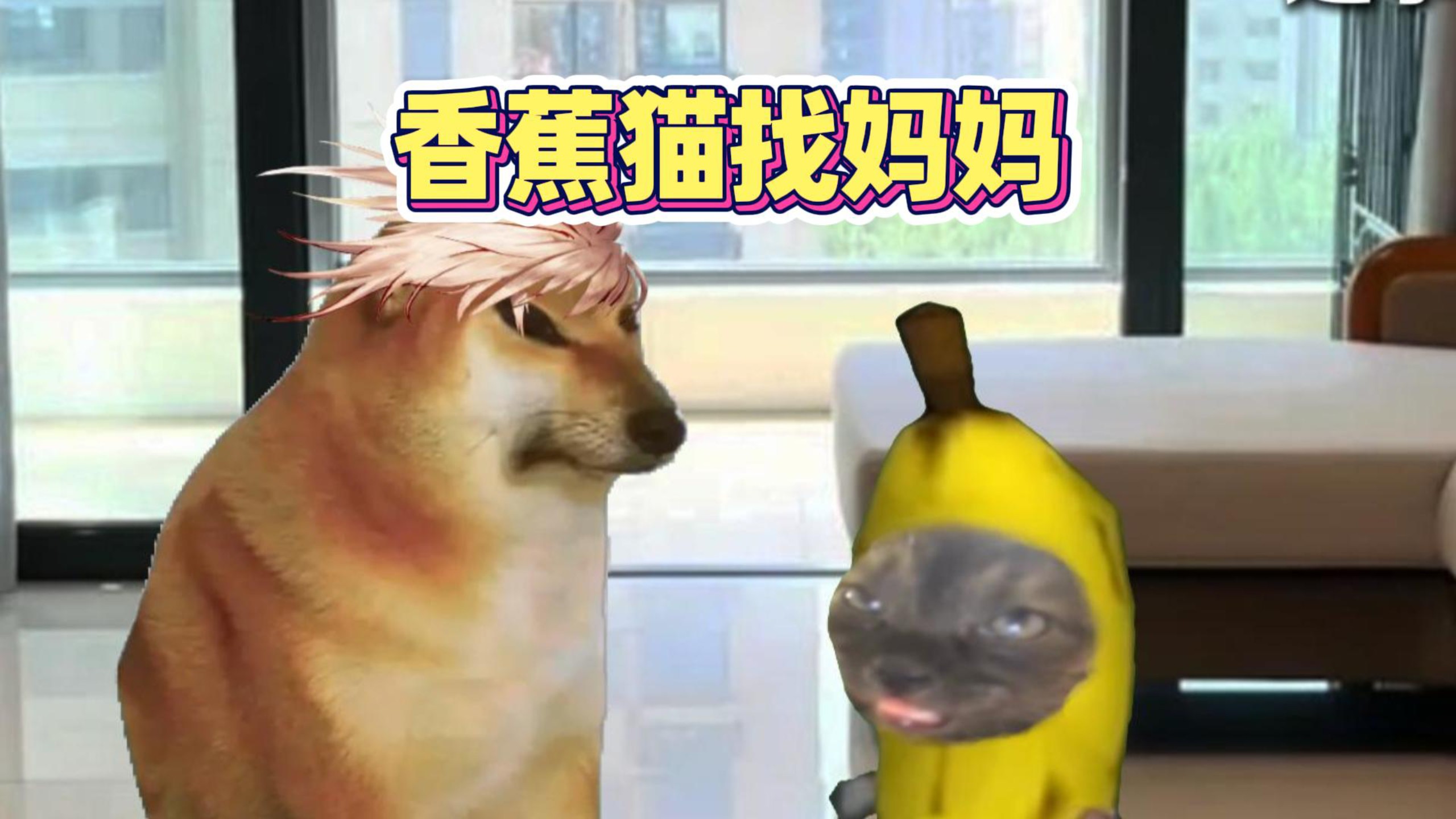 香蕉猫找妈妈