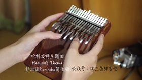 关于哈利波特主题曲谱_哈利波特主题手抄报(5)