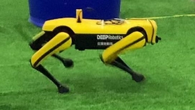 b8b1a12cdb8f6db744522f8648f5f4e4af492e10.jpg@280w_158h_1c_100q.jpg