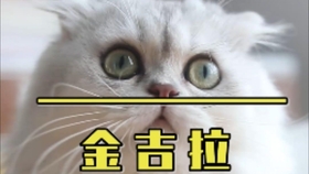 b8b5c0dd7256ad953471017d1b437ab3229b6d70.jpg@280w_158h_1c_100q.jpg