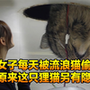 为了给自己找个好人家，流浪猫竟然每天在浴室天花板偷窥
