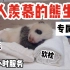 【旅日熊猫】这就是社畜向往的生活吧！