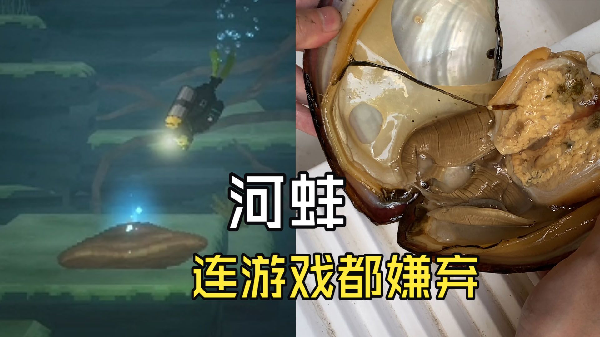 游戏都嫌弃的河蚌真的难吃吗？