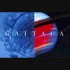 The Departure - Gattaca OST (Michael Nyman)