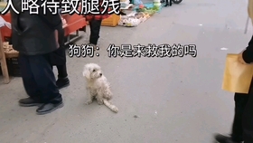b8f094e3a6222d1c281cd1c80ea6bc244eaabca8.jpg@280w_158h_1c_100q.jpg