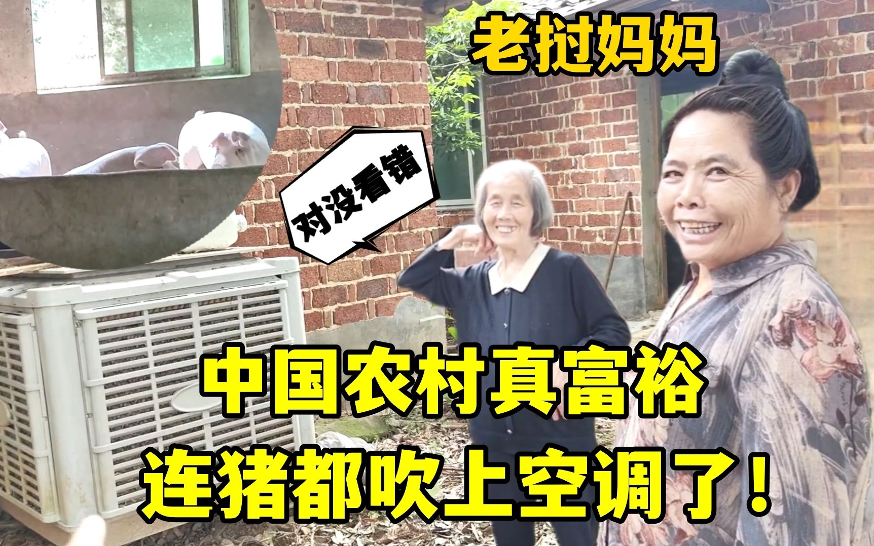 第一次来中国农村，连猪都有空调房，老挝妈妈震惊：我没看错吧？