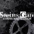 【阿保刚】Steins;Gate/孤独的观测者【OST】
