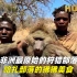 纪录片解说，非洲最原始的狩猎部落，哈扎部落的狒狒美食