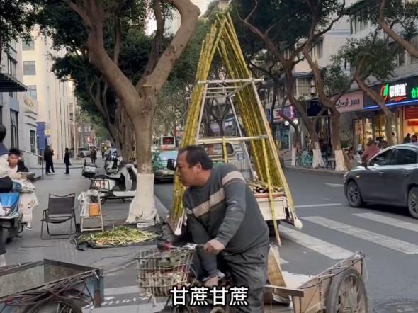 《成都最直的甘蔗》老板这声音听着就是弯的