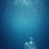 【惊艳你的PPT】高清视频背景素材，让你的PPT轻松高大上！-004静谧海底