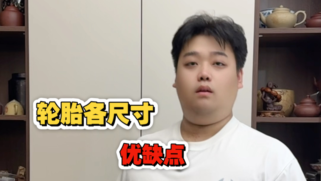 轮胎各尺寸优缺点