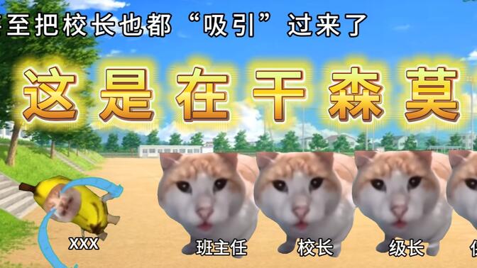 【猫meme】关于苯人在学校一不小心用三脚猫功夫完胜了校霸的这件事